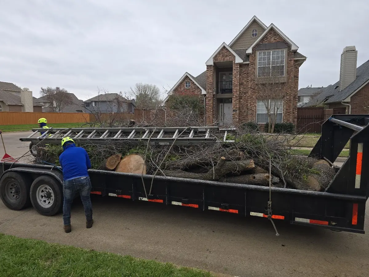 Expert Crown Reduction with proper safety equipment in Mount Solon